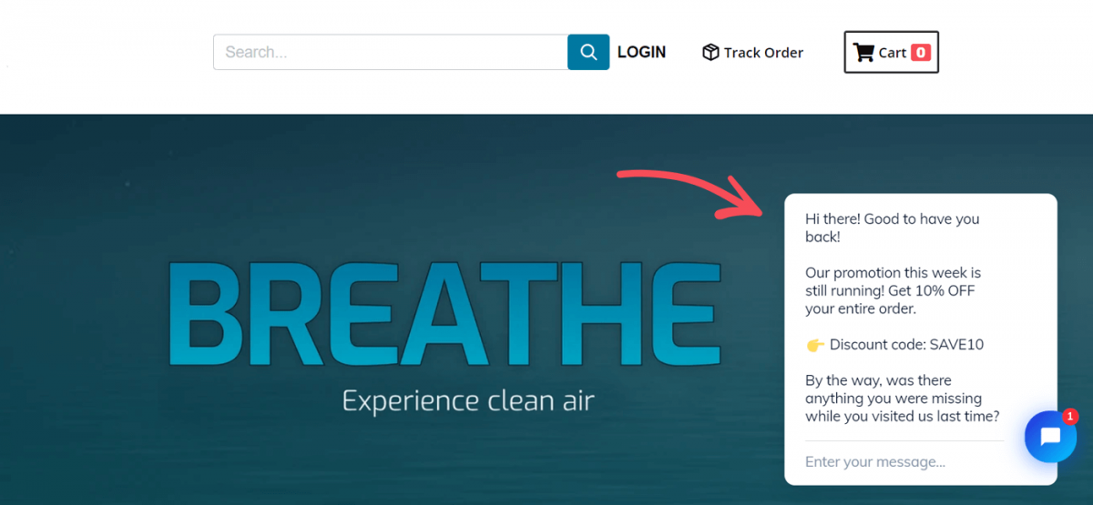 An online store with air purifiers
